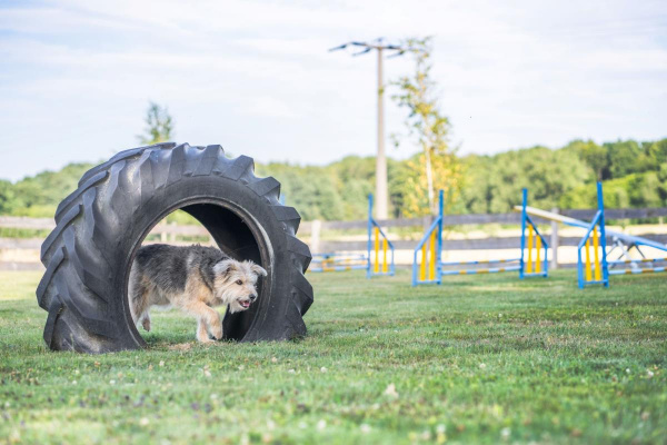 Ferienhaus S`bunde Heisle