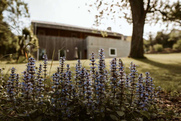  Ferienhaus TierbachLodge