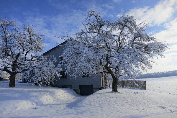 Winterwunderland  am Taubenhof