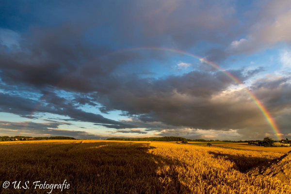Ein Ferienhaus Inmitten der weiten Felder, Wiesen und Wälder