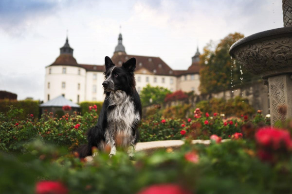 Schlossbrauerei Langenburg
