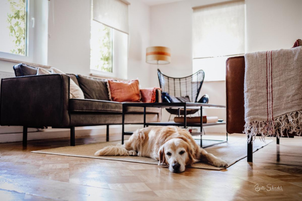 Traumhafter, offenener Wohnbereich in der Roten Sau