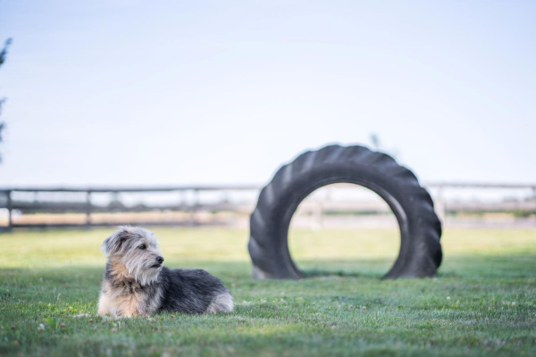 Ferienhaus S`bunde Heisle