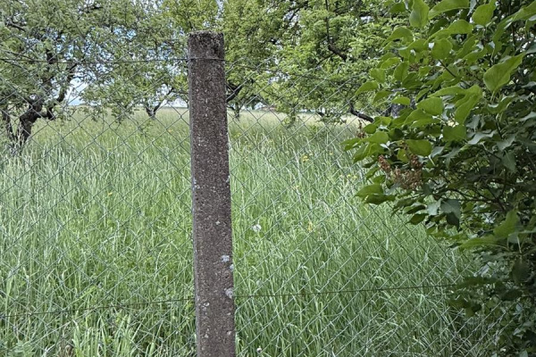 Das gesamte Grundstück wird 1,8m hoch umzäunt