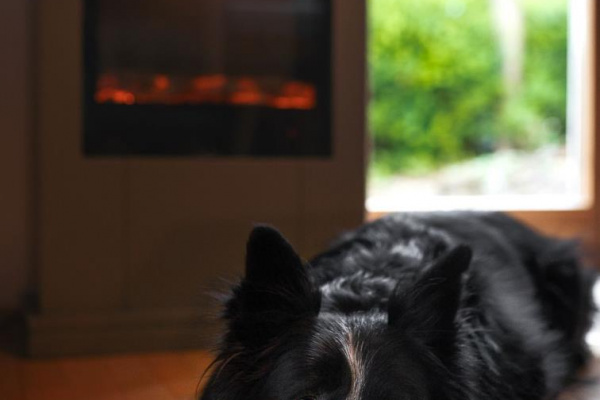 Ferienwohnung Maierers Schaiere