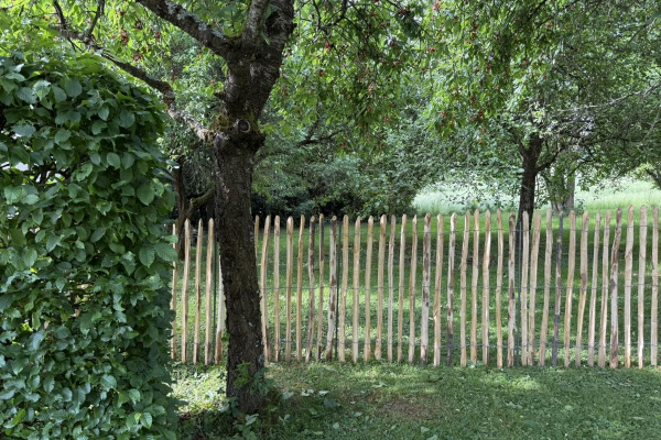  Gepflegter Traumgarten mit 1,2m hohem Rundumschutz