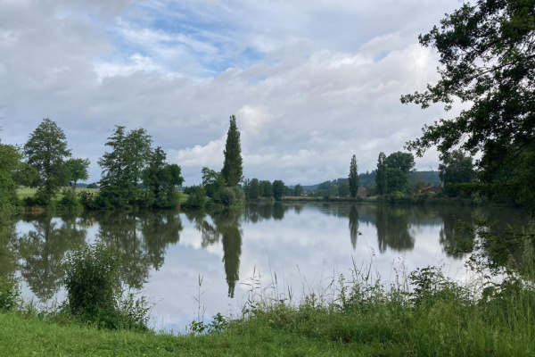Ferienhaus Kubus am Schönweiher