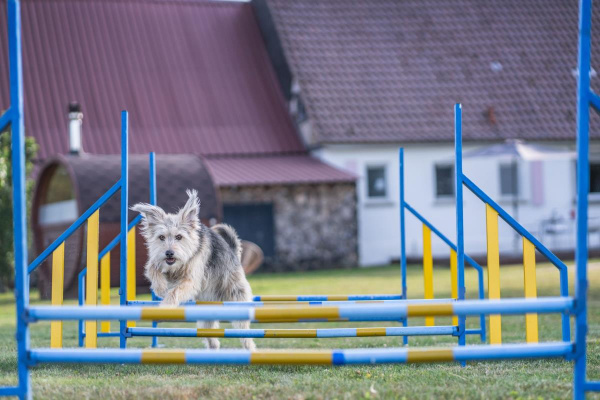 Ferienhaus S`bunde Heisle