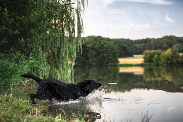 Und Fußläufig kann man den Billingsbacher See (ca. 3 km) erreichen