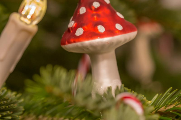 Es kommt schon früh weihnachtliche Stimmung auf