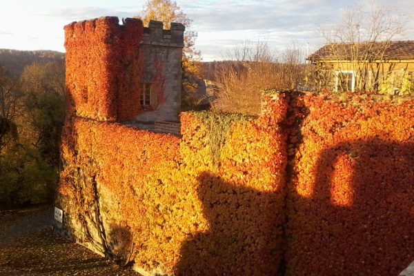 Genießen Sie eine Auszeit im Herbst am Schloss Langenburg