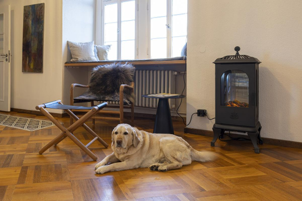 Der Turm freut sich auch auf bis zu zwei Hunde