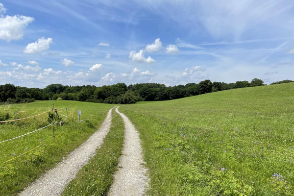 Traumhaft wandern über der Hochebene...