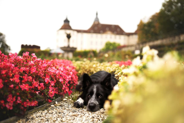 Schlossbrauerei Langenburg