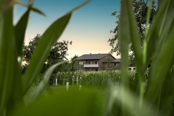 Der Taubenhof vom Feld umarnt