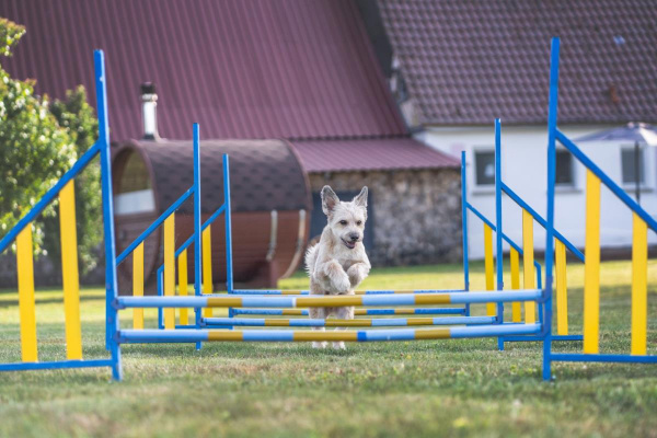 Ferienhaus S`bunde Heisle